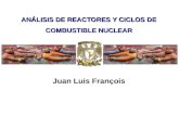 ANÁLISIS DE REACTORES Y CICLOS DE COMBUSTIBLE NUCLEAR Juan Luis François.