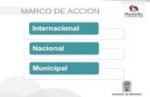 MARCO DE ACCIÓN. m dgsezine