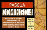 Escuchemos “Surrexit Pastor Bonus” de Mendelsshon 9’20 (Escolanía de Montserrat) sintiéndonos cerca de Jesús Por el Espíritu, besemos las llagas del Resucitado.