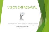 VISION EMPRESARIAL Se refiere a lo que la empresa quiere crear, la imagen futura de la organización LUIS ALFONSO RIVERA VACA.
