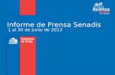 Informe de Prensa Senadis 1 al 30 de junio de 2013.