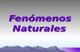 Fenómenos Naturales. Fenómenos Naturales Fenómenos Naturales Fenómeno natural: Manifestación de las fuerzas de la naturaleza, o actividad de la Tierra.