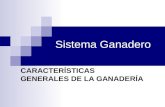 Sistema Ganadero CARACTERÍSTICAS GENERALES DE LA GANADERÍA.
