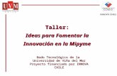 Taller: Ideas para Fomentar la Innovación en la Mipyme Nodo Tecnológico de la Universidad de Viña del Mar Proyecto financiado por INNOVA CHILE.