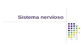 Sistema nervioso. Funciones Función Composición Sistema Nervioso Central Órganos Sistema Nervioso Periférico órganos.