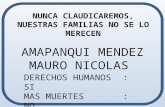 AMAPANQUI MENDEZ MAURO NICOLAS NUNCA CLAUDICAREMOS, NUESTRAS FAMILIAS NO SE LO MERECEN DERECHOS HUMANOS : SI MAS MUERTES : NO.