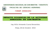 Ing. M.Sc Armando Cueva Benavides Rioja, 29 de Octubre 2010 FACULTAD DE CIENCIAS AGRARIAS UNIVERSIDAD NACIONAL DE SAN MARTIN - TARAPOTO FORUM ARROCERO.