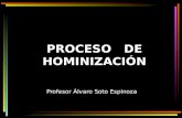 PROCESO DE HOMINIZACIÓN Profesor Álvaro Soto Espinoza.