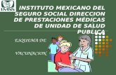 INSTITUTO MEXICANO DEL SEGURO SOCIAL DIRECCION DE PRESTACIONES MÉDICAS DE UNIDAD DE SALUD PUBLICA ESQUEMA DE VACUNACION.