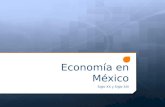 Economía en México Siglo XX y Siglo XXI. Limitaciones del Proteccionismo y rezago tecnológico agrícola.  Entre 1940 y 1970 México impulsó un modelo de.