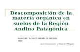 Descomposición de la materia orgánica en suelos de la Región Andino Patagónica MANEJO Y CONSERVACIÓN DE SUELOS 2010 Juan Serwatowski y Alejandro Maggio.