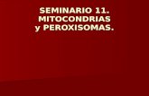 SEMINARIO 11. MITOCONDRIAS y PEROXISOMAS.. TAMAÑO Y MICROSCOPIA OPTICA.
