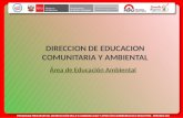DIRECCION DE EDUCACION COMUNITARIA Y AMBIENTAL Área de Educación Ambiental.