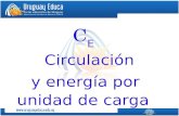 C E Circulación y energía por unidad de carga. Circulación en un campo vectorial: Es otra forma de obtener información sobre las características del campo.