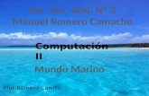 Computación II Flor Romero Carrillo.. Fauna Se llaman animales acuáticos a los animales que viven en el agua durante toda su vida o gran parte de ella.