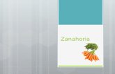 Zanahoria. ZANAHORIA  La zanahoria es una verdura que tiene bastantes ventajas en la alimentación de todas las personas, sin importar su edad.  Además.