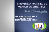 INFORME DE GESTIÓN Y RESULTADOS INSTITUCIONALES (IGRI)