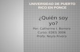 Por: Catherine I. Borrero Curso: EDES 3006 Profa: Neyla Rivera ¿Quién soy yo?