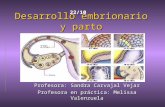 Desarrollo embrionario y parto Profesora: Sandra Carvajal Vejar Profesora en práctica: Melissa Valenzuela 22/10.
