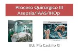 Proceso Quirúrgico III Asepsia/IAAS/IHOp EU: Pía Castillo G.