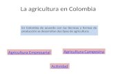 La agricultura en Colombia En Colombia de acuerdo con las técnicas y formas de producción se desarrollan dos tipos de agricultura: Agricultura Empresarial.