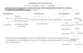CORONA DE CASTILLA (s. XIII: Castilla+ León = Castilla) GOBIERNO REY legislar administrar justicia declarar la guerra + CORTES Aprobar/denegar impuestos.