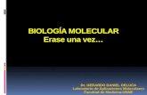 BIOLOGÍA MOLECULAR Erase una vez… Dr. GERARDO DANIEL DELUCA Laboratorio de Aplicaciones Moleculares Facultad de Medicina-UNNE.