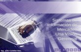 Sistemas de Información de Mercadeo Una Visión Gerencial Ing. Julio Cubillán Msc. 1234567.