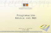 Programación Básica con NQC Patricio A. Castillo 12/04/2008.