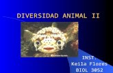 DIVERSIDAD ANIMAL II INST. Keila Flores BIOL 3052.