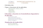 Tema 21 METABOLISMO DEGRADATIVO DE GLÚCIDOS: I. Glucolisis - Introducción - Tipos y funciones de los glúcidos: -Monosacáridos: aldosas y cetosas -Disacáridos.