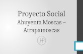 Proyecto Social Ahuyenta Moscas – Atrapamoscas. Motivación Este proyecto fue elegido ya que consideramos que la presencia de bichos como las moscas en.