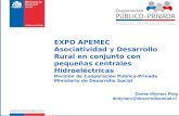 EXPO APEMEC Asociatividad y Desarrollo Rural en conjunto con pequeñas centrales Hidroeléctricas División de Cooperación Público-Privada Ministerio de Desarrollo.