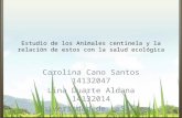 Estudio de los Animales centinela y la relación de estos con la salud ecológica Carolina Cano Santos 14132047 Lina Duarte Aldana 14132014 Universidad de.