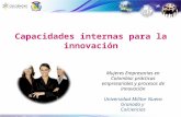 Capacidades internas para la innovación Mujeres Empresarias en Colombia: prácticas empresariales y procesos de innovación Universidad Militar Nueva Granada.