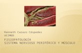 Kenneth Carazo Céspedes UCIMED.  Retomar aspectos básicos de la fisiología y anatomía del sistema nervioso periférico y músculo, así como su interacción.