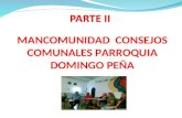 MANCOMUNIDAD CONSEJOS COMUNALES PARROQUIA DOMINGO PEÑA.