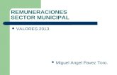 REMUNERACIONES SECTOR MUNICIPAL VALORES 2013 Miguel Angel Pavez Toro.