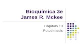 Bioquímica 3e James R. Mckee Capítulo 13 Fotosíntesis.