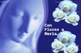 Con Flores a Maria… “Debemos aspirar a ser un reflejo de Maria en la vida diaria.” Tan solo me pregunto: Que harías tu Maria en mi lugar.