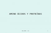 MQ-0200. JGZ1 AMINO ÁCIDOS Y PROTEÍNAS. MQ-0200. JGZ2 AMINO ÁCIDOS Y PROTEÍNAS Características estructurales de los amino ácidos. Clasificaciones de los.
