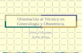 Orientación al Técnico en Ginecología y Obstetricia. Silvia Cifuentes. Karin Rojas.
