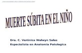 Dra. C. Verónica Walwyn Salas Especialista en Anatomia Patologica Curso Generalidades sobre el síndrome del maltrato infantil.