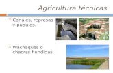 Agricultura técnicas  Canales, represas y puquios.  Wachaques o chacras hundidas.