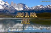 Columna de opinión de Cristián Warnken sobre incendio en Parque Nacional Torres del Paine. CUIDADO CON CHILE.