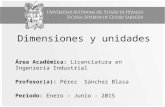 Dimensiones y unidades Área Académica: Licenciatura en Ingeniería Industrial Profesor(a): Pérez Sánchez Blasa Periodo: Enero – Junio - 2015.