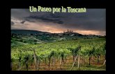 La Toscana es una de las zonas más bellas. Situada en la zona central del país, esta región incluye importantes ciudades,es famosa por la historia que.