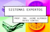 SISTEMAS EXPERTOS PROF. ING. JAIME ALFONSO REYES CORTES.