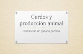 Cerdos y producción animal Producción de ganado porcino.