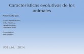 Características evolutivas de los animales Presentado por: -Laura Daniela Bustos. -Erika Martínez. -Sergio Gonzales. -Sebastián Avila. Presentado a: Kelly.
